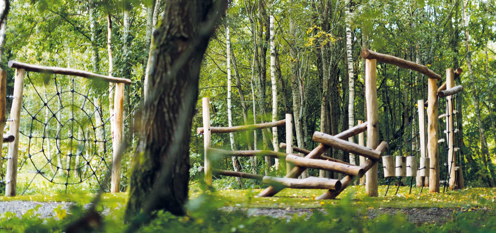 apparat-skog